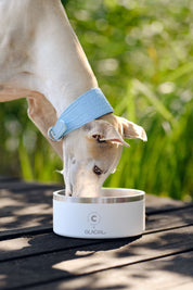 Ciotola per Cani Bianca