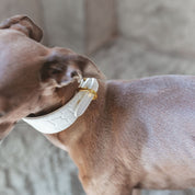 Collare per Cani Larghe Bianco Croco