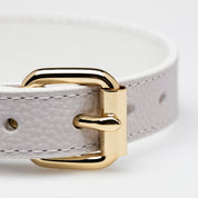 Collare Bianco per Cani Sottile